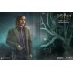 Harry Potter My Favourite Movie Action Figure 1/6 Sirius Black 30 cm